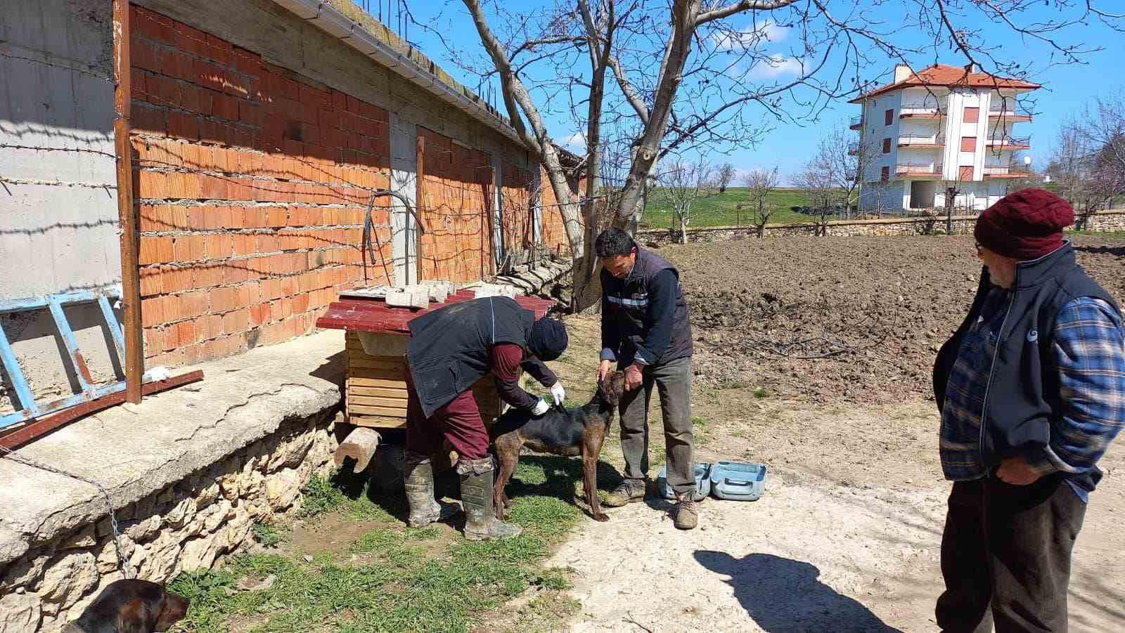 AFYONKARAHİSAR’IN HOCALAR İLÇESİNDE TARIM