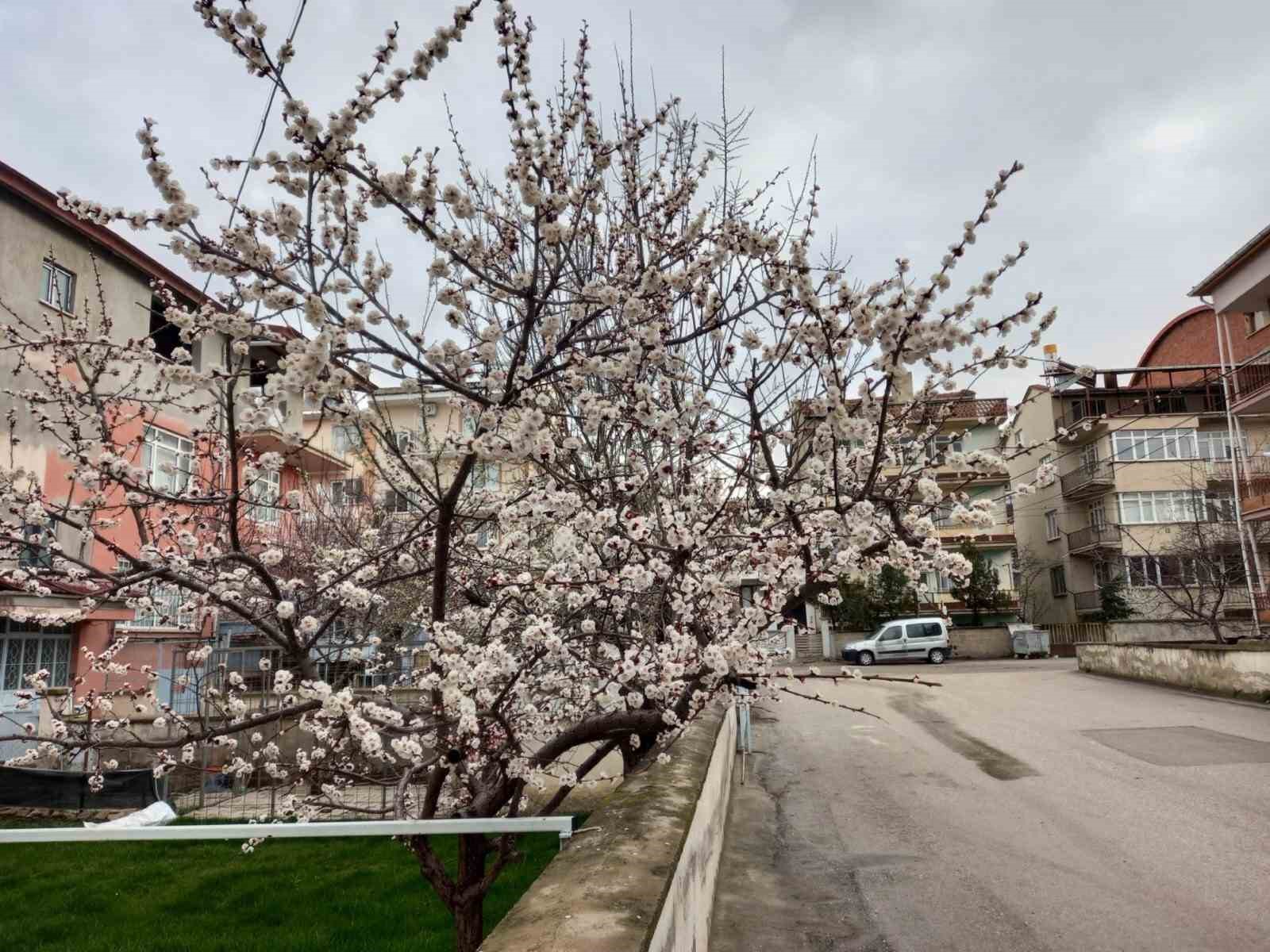 FYONKARAHİSAR'IN SANDIKLI İLÇESİNDE SICAK