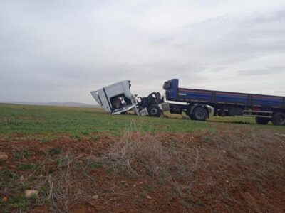 Yoldan çıkan TIR buğday tarlasına girdi