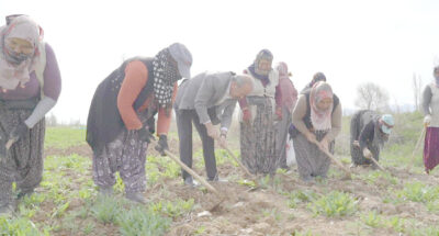 Çiftçilere müjde: Harımsokağı adlı Derinkuyu yenilenecek