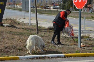 Çiğköfte ustası, iş için geldiği Afyonkarahisar’daki sokak hayvanlarını besliyor