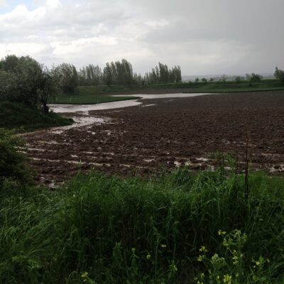 Şuhut'ta sağanak ve doludan etkilenen tarım arazilerinde çalışma başlatıldı