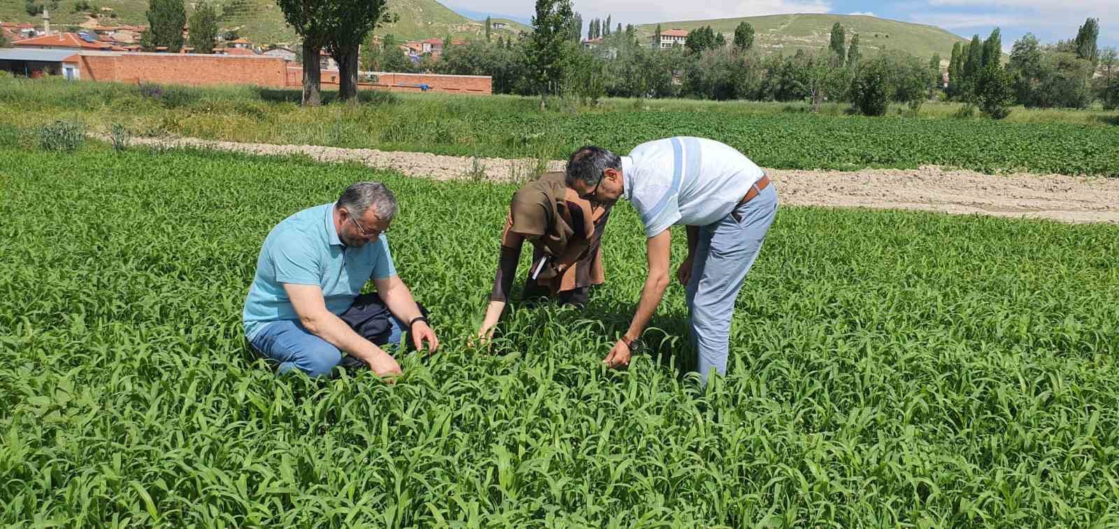 AFYONKARAHİSAR TARIM VE ORMAN