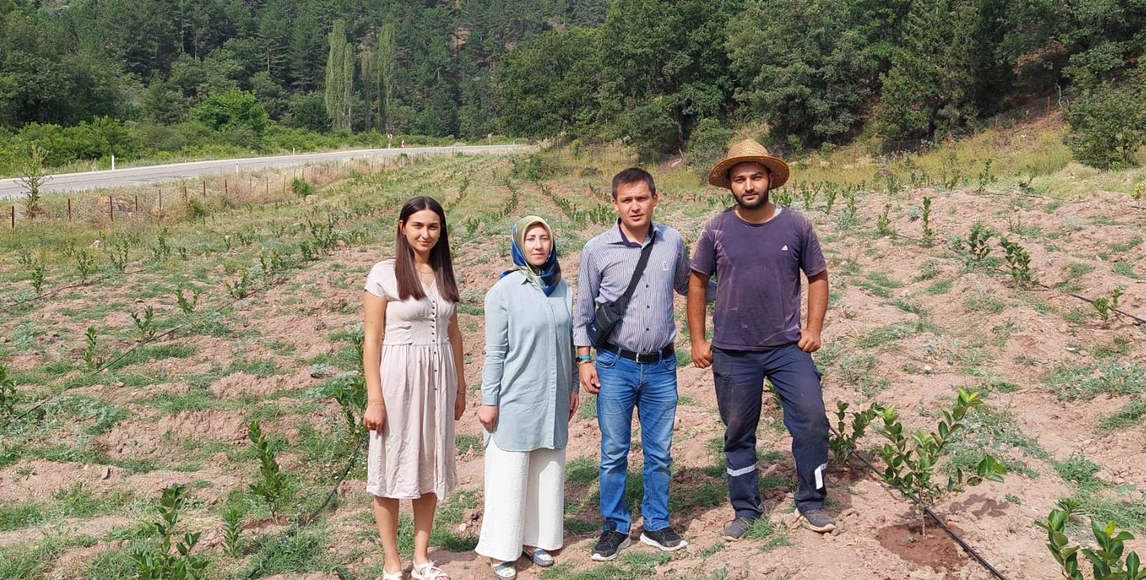 Kütahya’nın Hisarcık ilçesi Güldüren