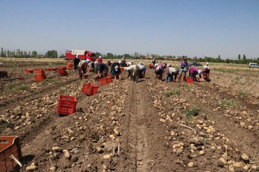 AFYONKARAHİSAR’IN SANDIKLI İLÇESİNDE 40