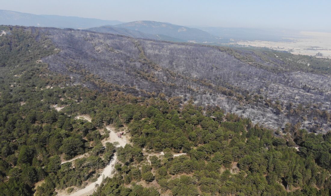 Eskişehir’in Seyitgazi ilçesinde 300