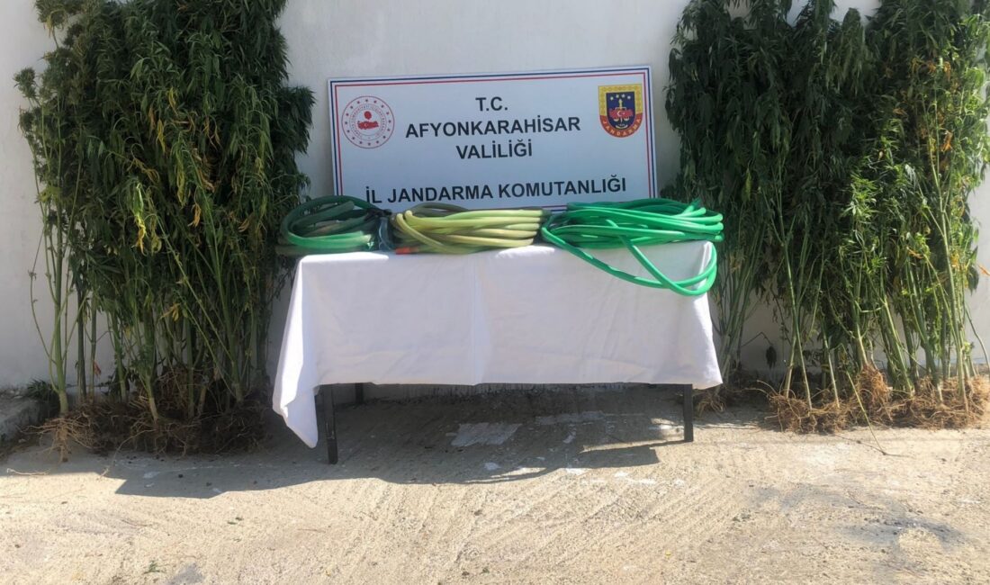 Afyonkarahisar’da jandarma ekipleri iki