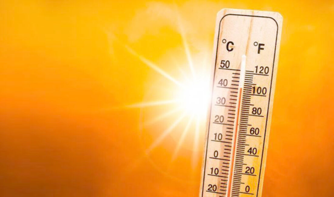 Meteoroloji 5.Bölge Müdür Yardımcısı