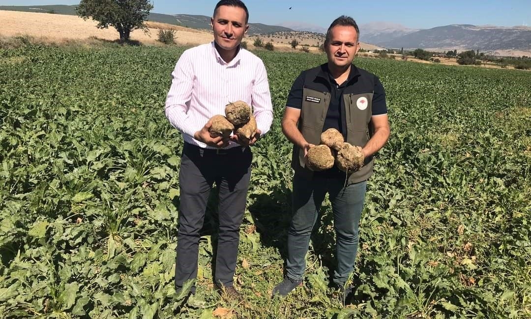 Afyonkarahisar’ın Dinar ilçesinde bu