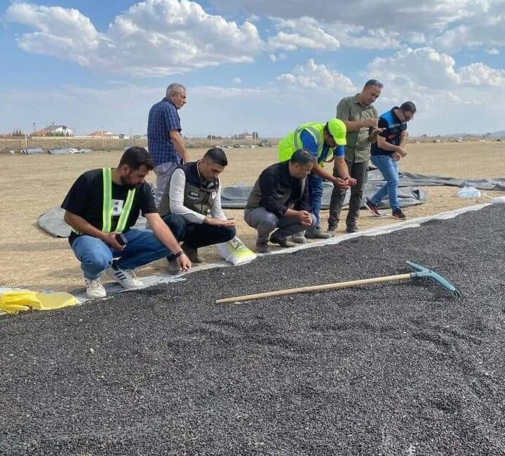 Afyonkarahisar’ın Emirdağ ilçesinde ayçiçeği