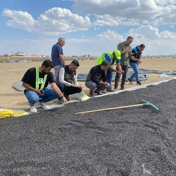 Emirdağ’da ayçiçeği hasadı başladı