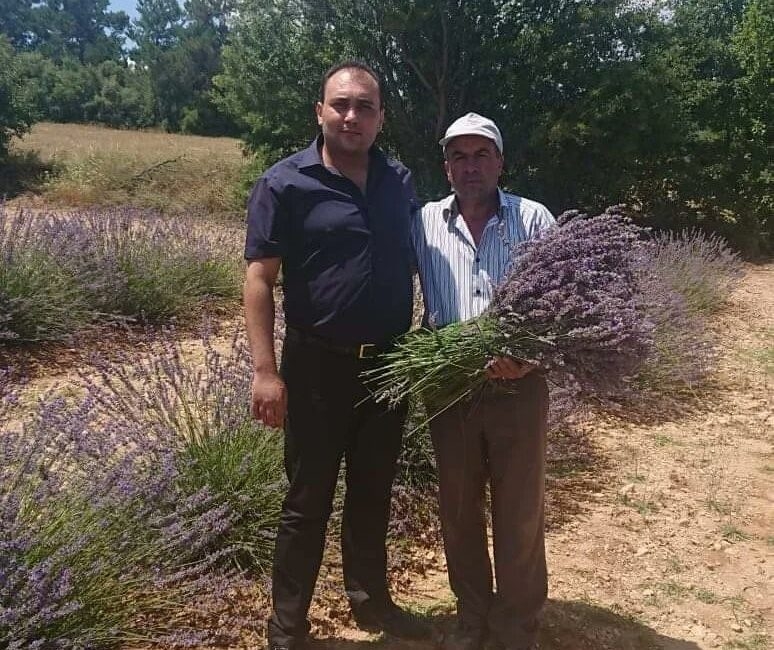 Afyonkarahisar’da lavanta üretiminde önemli