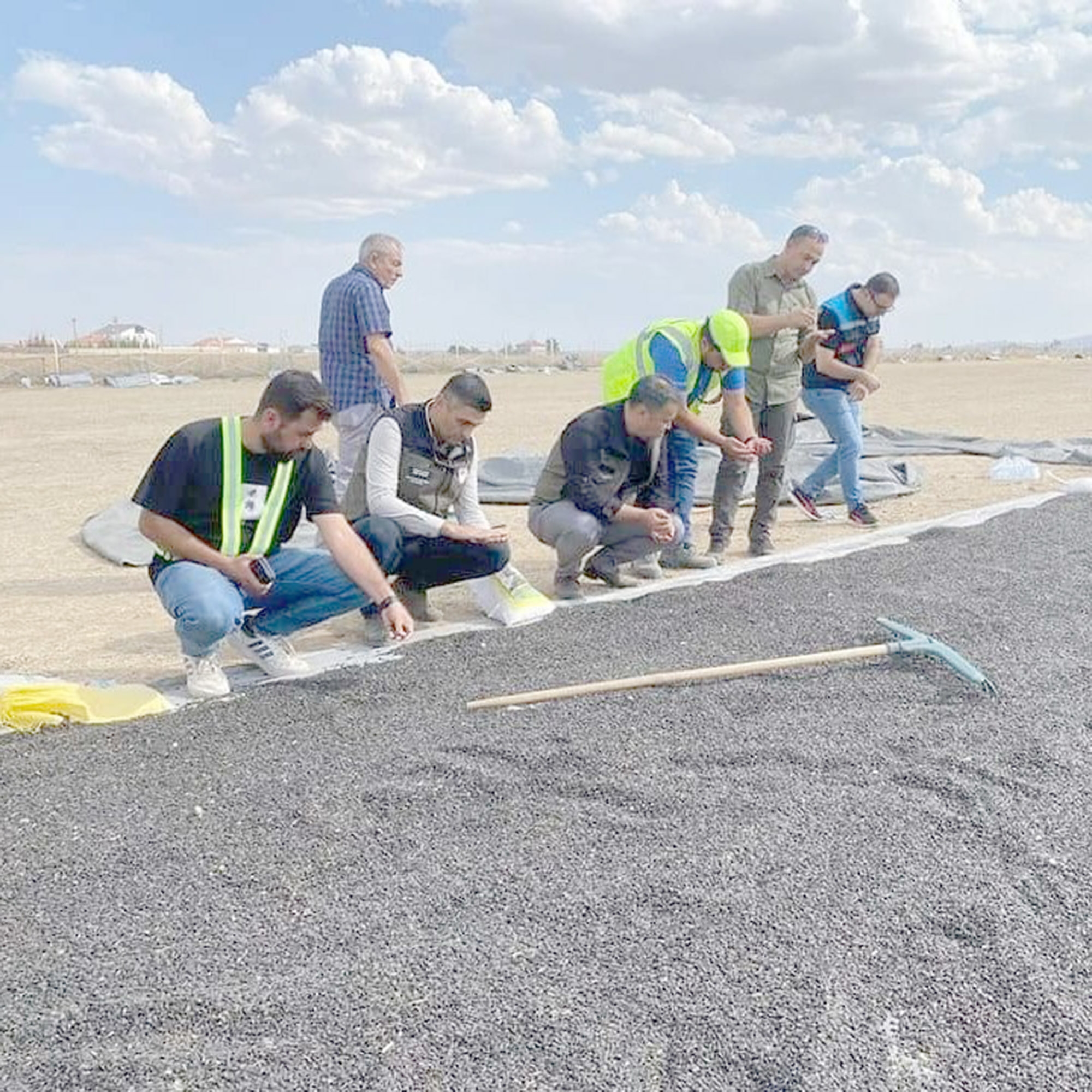 Emirdağ’da ayçiçeği hasadı başladı