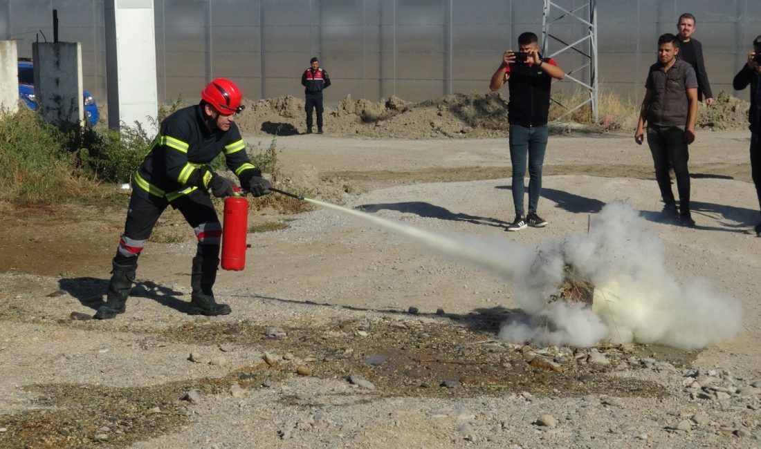 Afyonkarahisar’ın Sandıklı ilçesinde domates