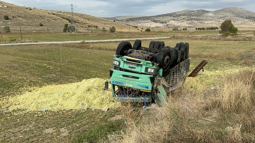 Devrilen kamyondaki 13 ton mısır silajı ziyan oldu