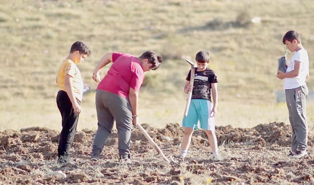 Afyon’un Sinanpaşa ilçesinde,  Yönetmenliğini