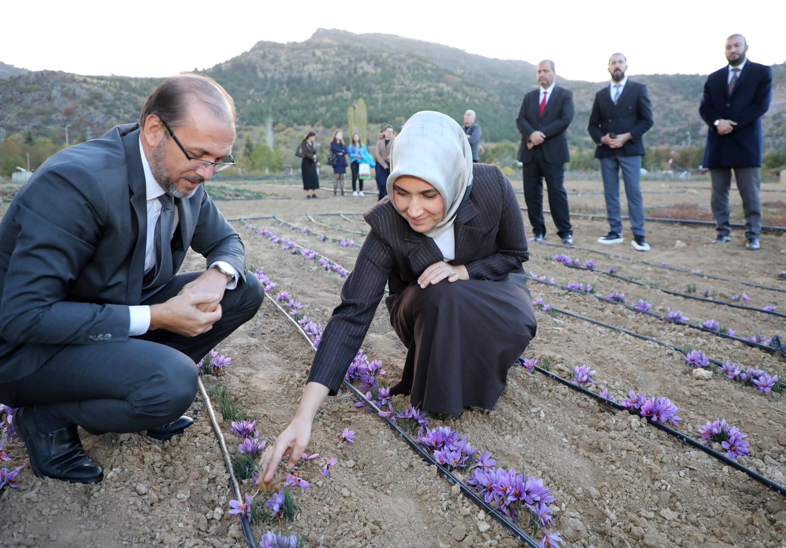 Vali Yiğitbaşı, tıbbi bitkileri inceledi