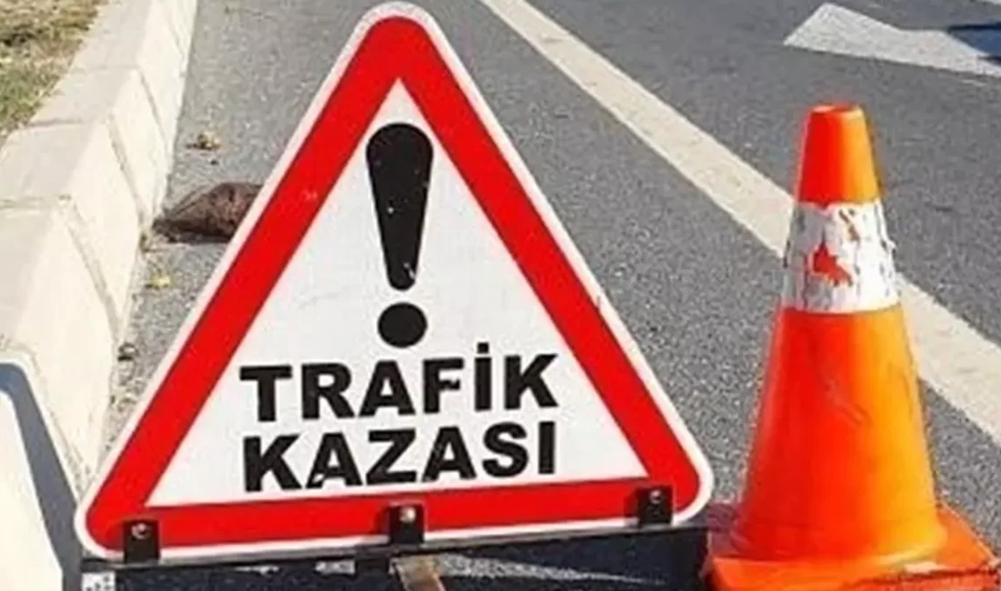 Afyonkarahisar’da kontrolden çıkarak su