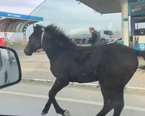 Bursa’da tay yollara düştü!