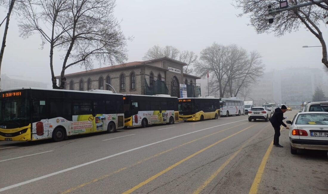 Sisli havanın etkili olduğu Afyonkarahisar’da