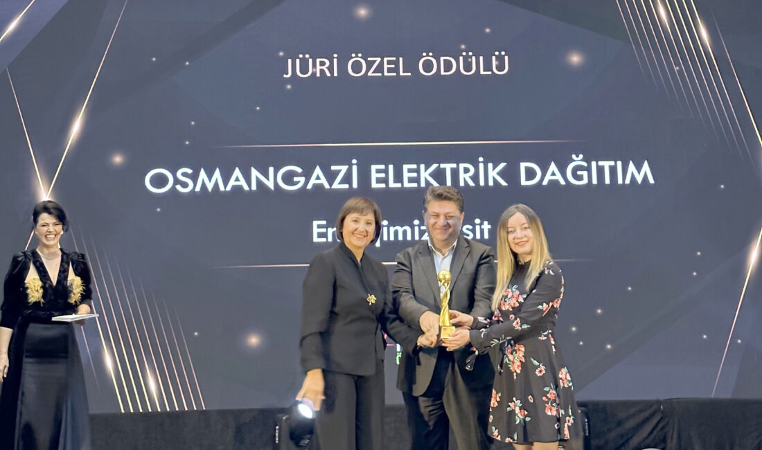 Elektrik dağıtım şirketi OEDAŞ,