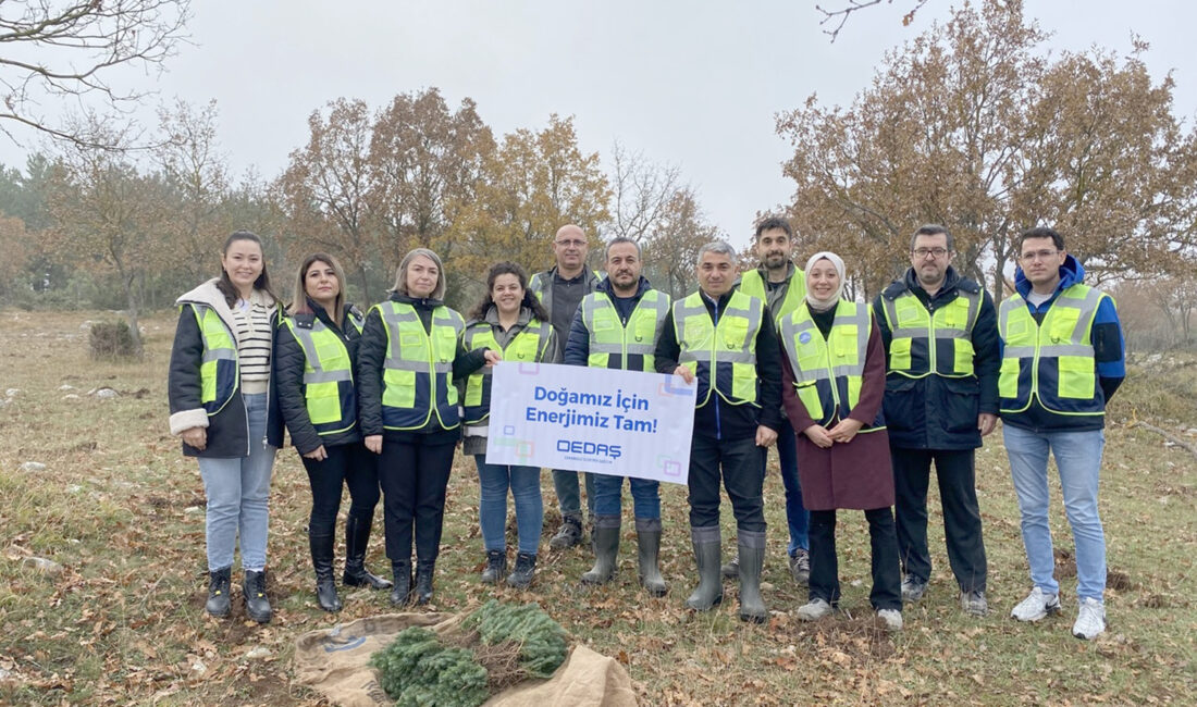 Elektrik dağıtım şirketi OEDAŞ,