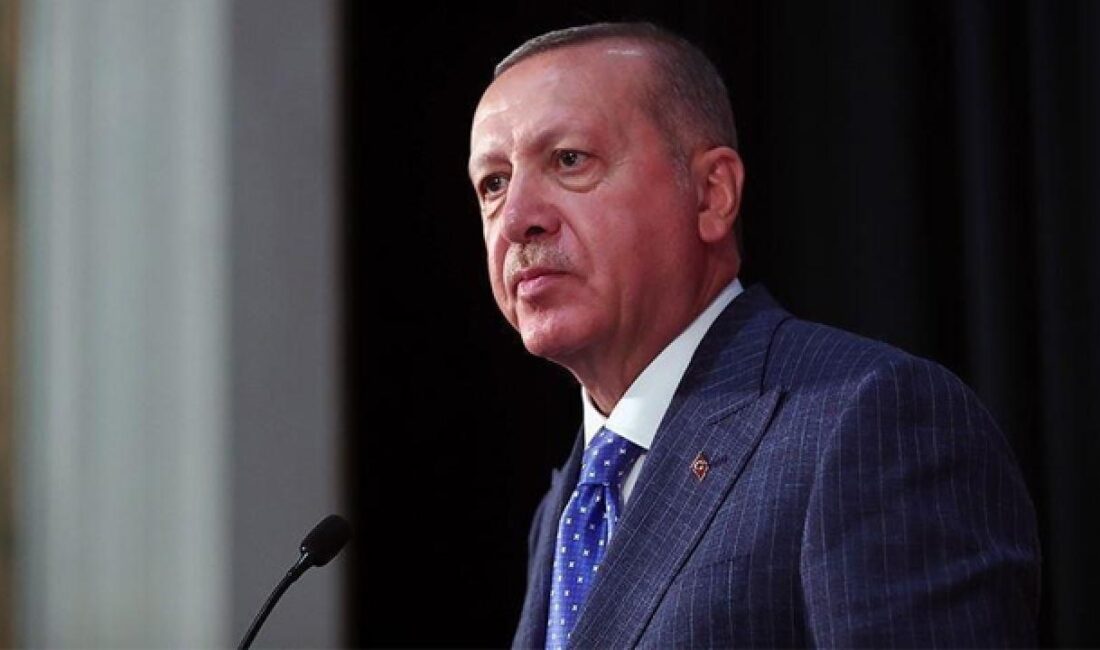 Cumhurbaşkanı Erdoğan, Mehmetçiğin kanının