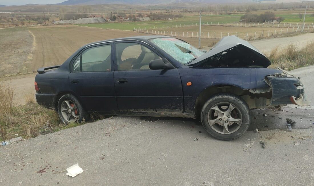 Afyonkarahisar’da kontrolden çıkan otomobilin