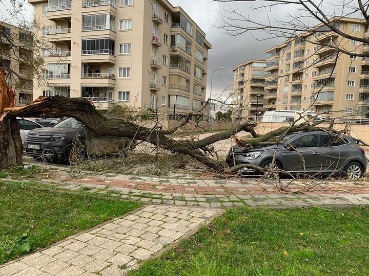 Lodos hayatı felç etti!