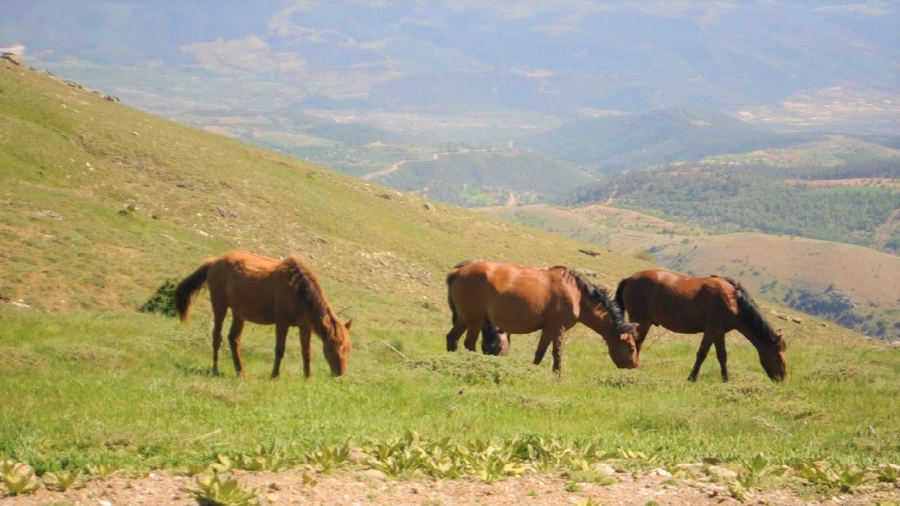 Ege’nin 2. en yüksek dağı Akdağ, Milli Park ilan edildi