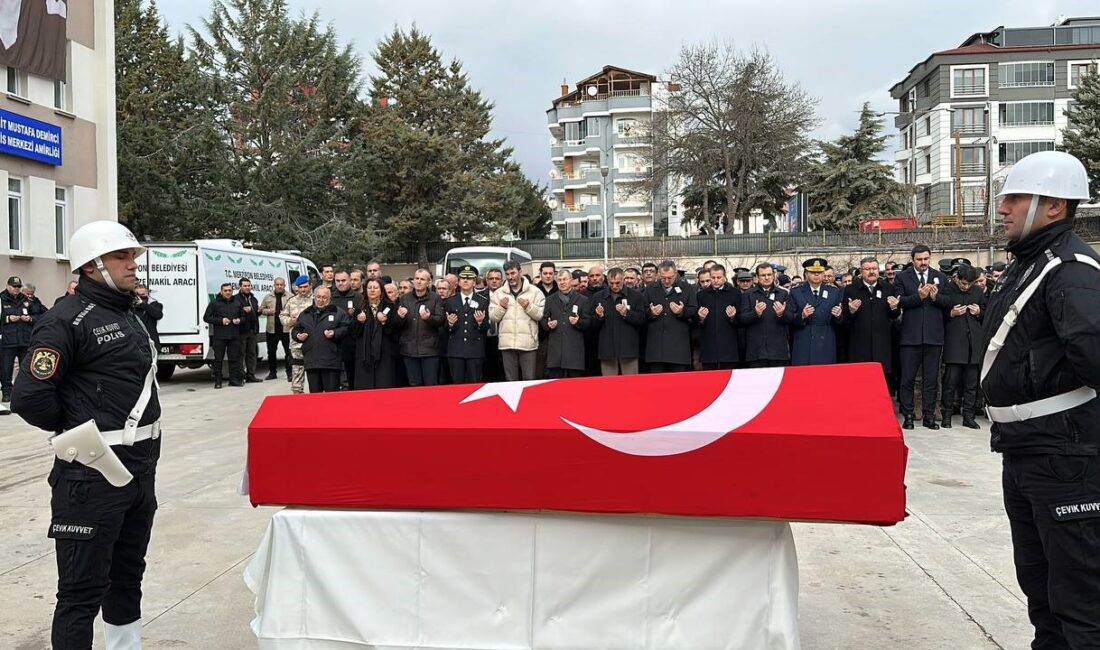 Sakarya’nın Hendek ilçesinde TEM