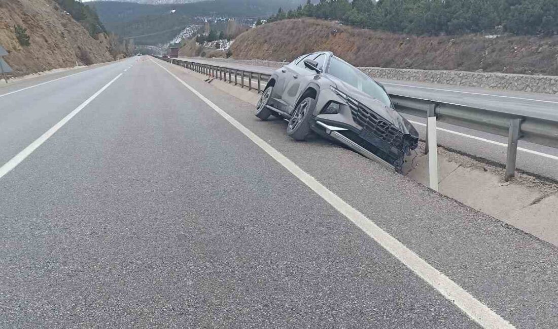 Afyonkarahisar’da kontrolden çıkarak refüje