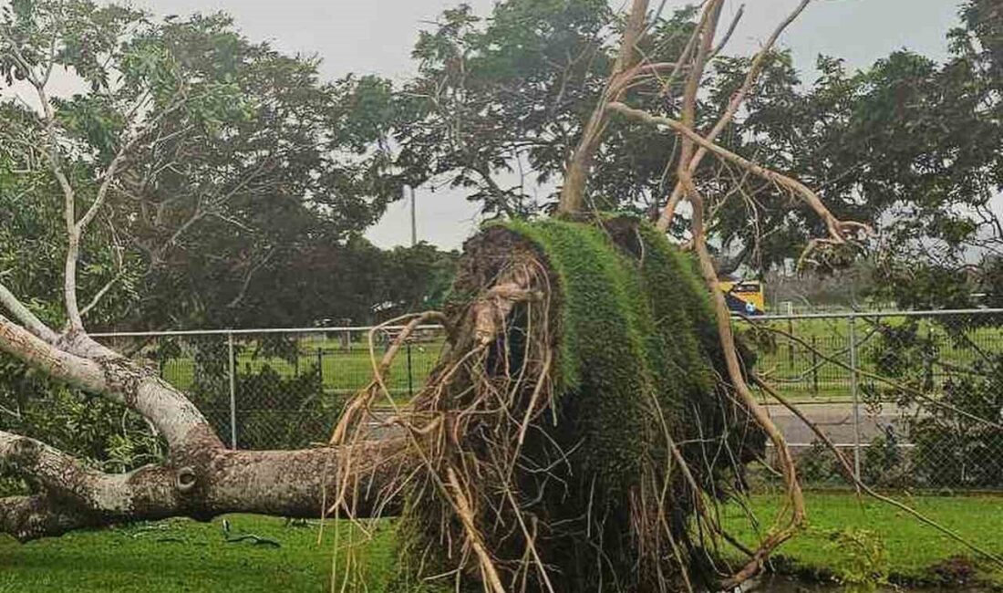 AVUSTRALYA'NIN DOĞUSUNDAKİ QUEENSLAND EYALETİNİ