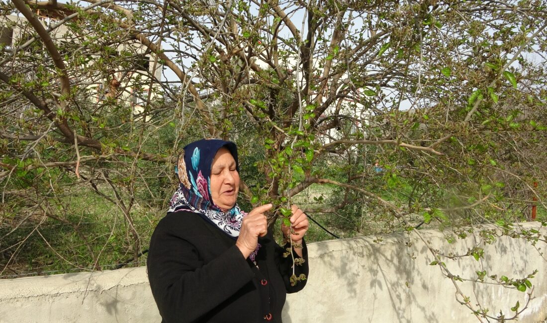 Adana’nın Kozan ilçesinde hava