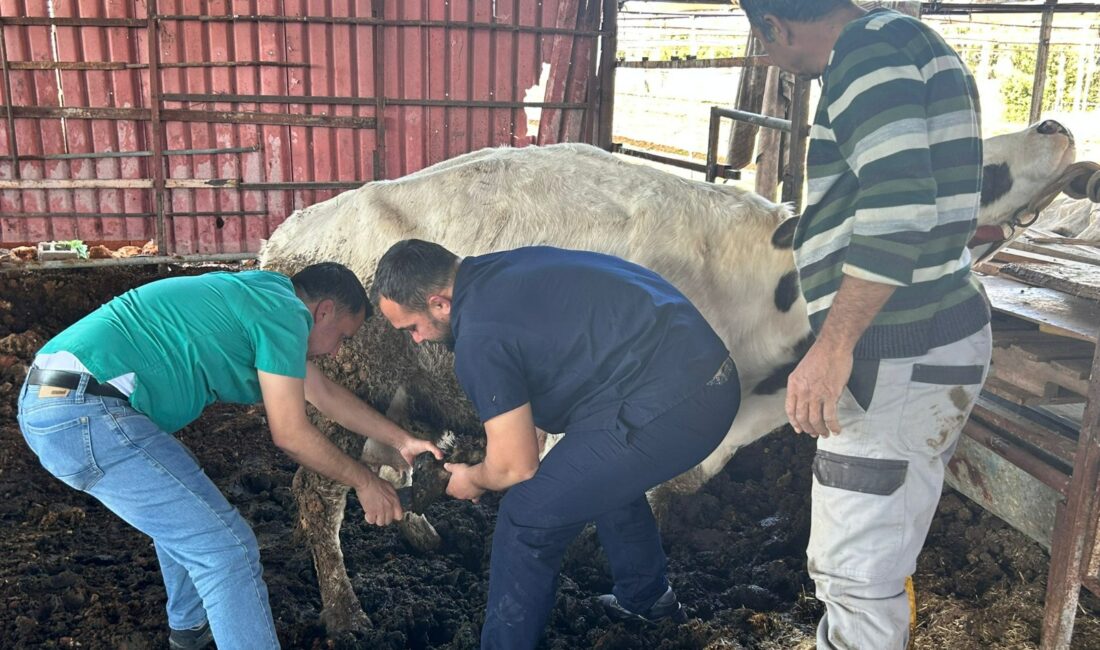 Antalya Büyükşehir Belediyesi selden