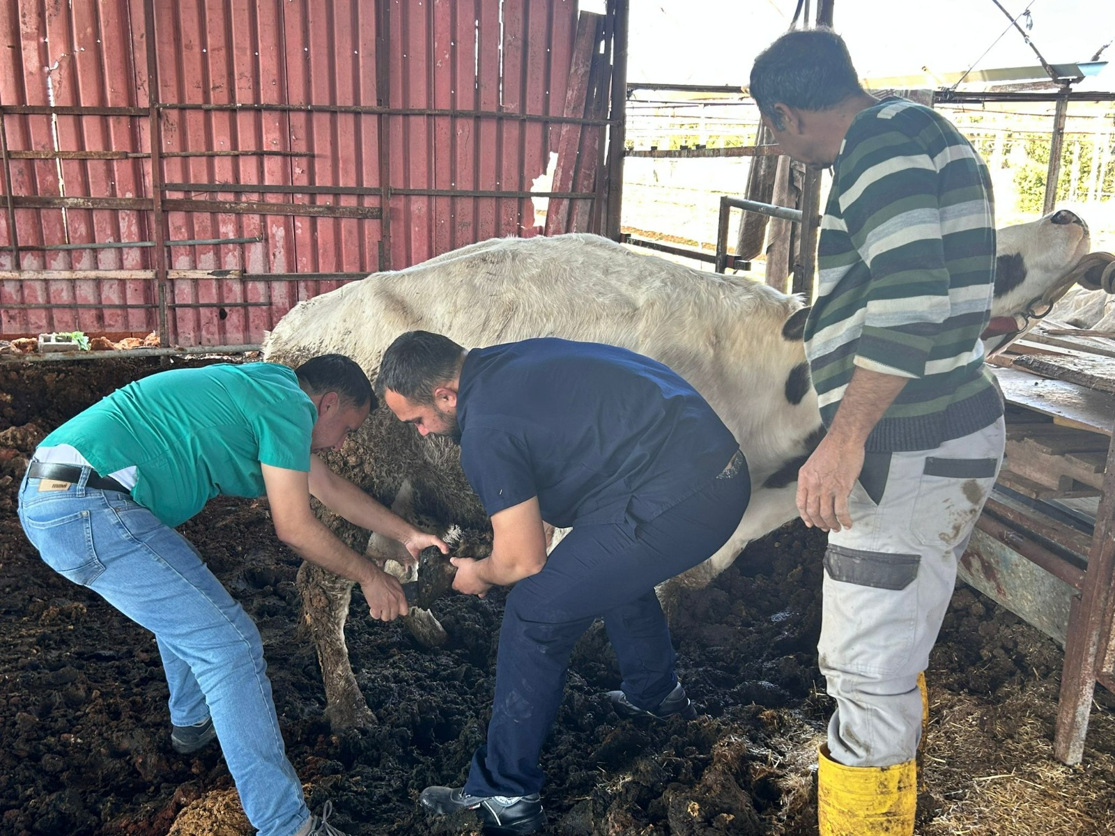 Büyükşehir selin yaralarını sarmaya devam ediyor