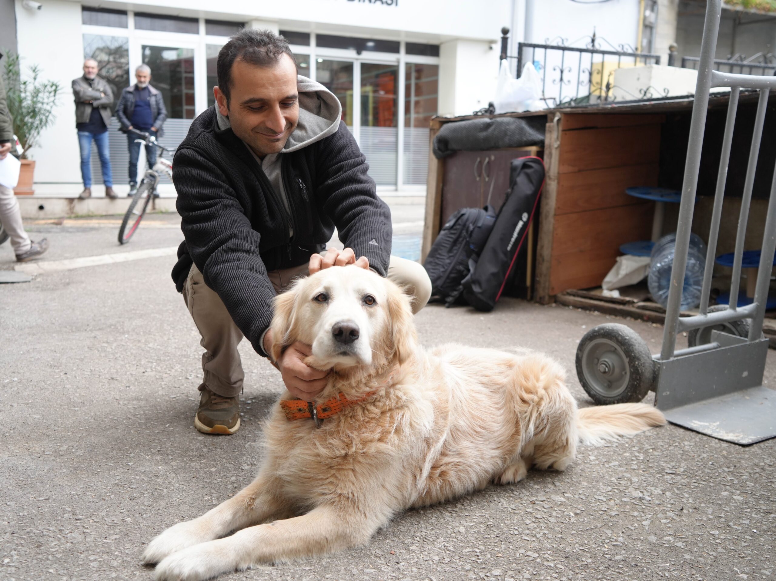 Köpeğin doktora havlaması sahibine 700 bin TL’ye patladı