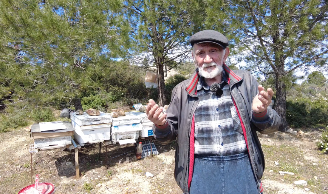 İzmir’in Foça ilçesinde yaşayan