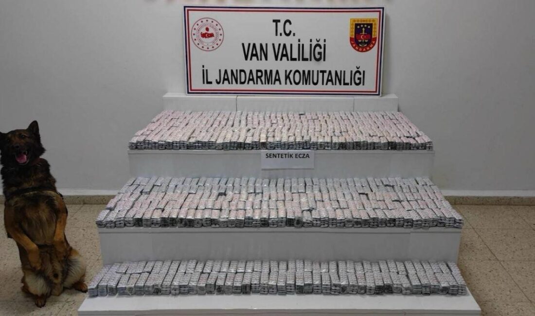 Van’da jandarma ekiplerince yürütülen