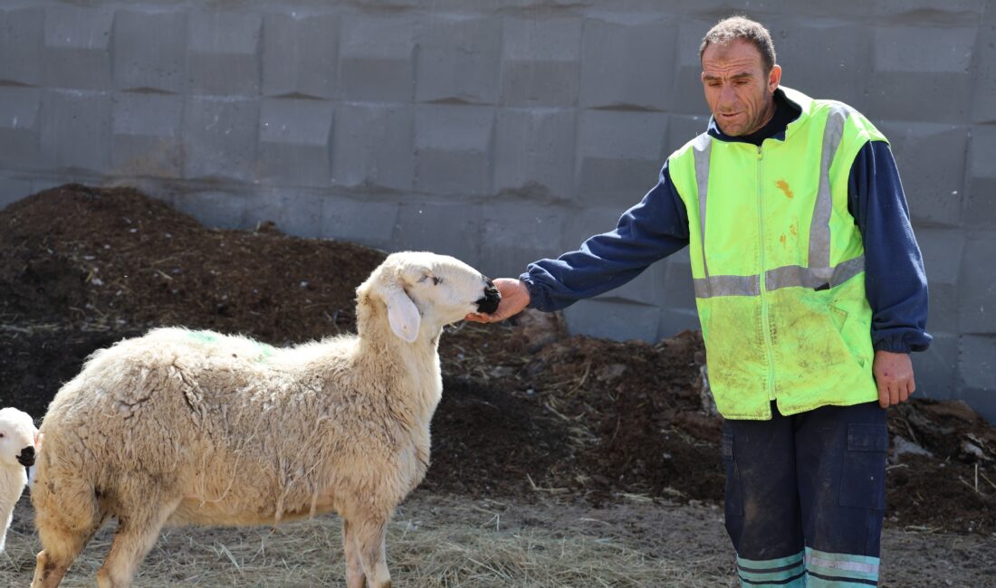 Tarımın kalbi Sivas’ta sunduğu