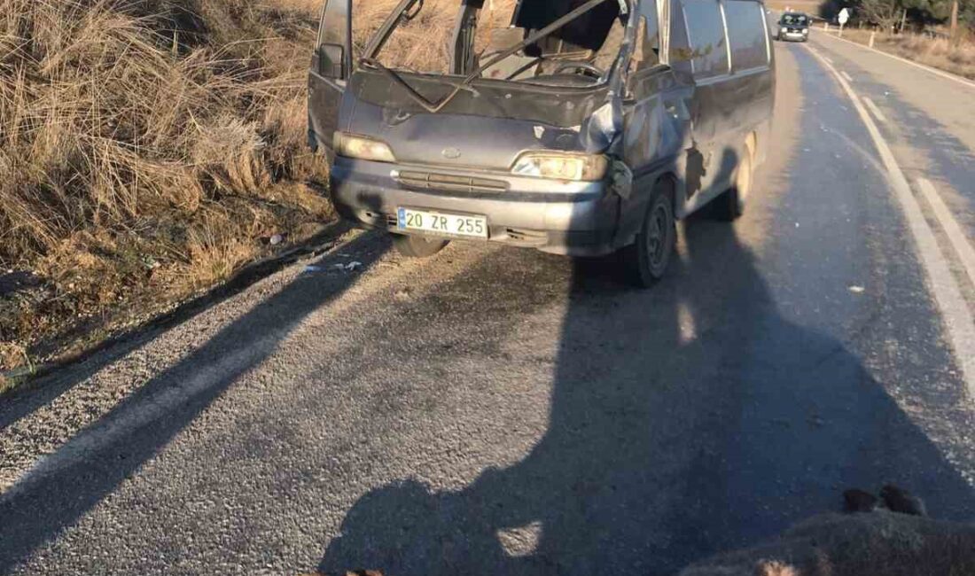 AFYONKARAHİSAR’DA ANİDEN YOLA ÇIKAN