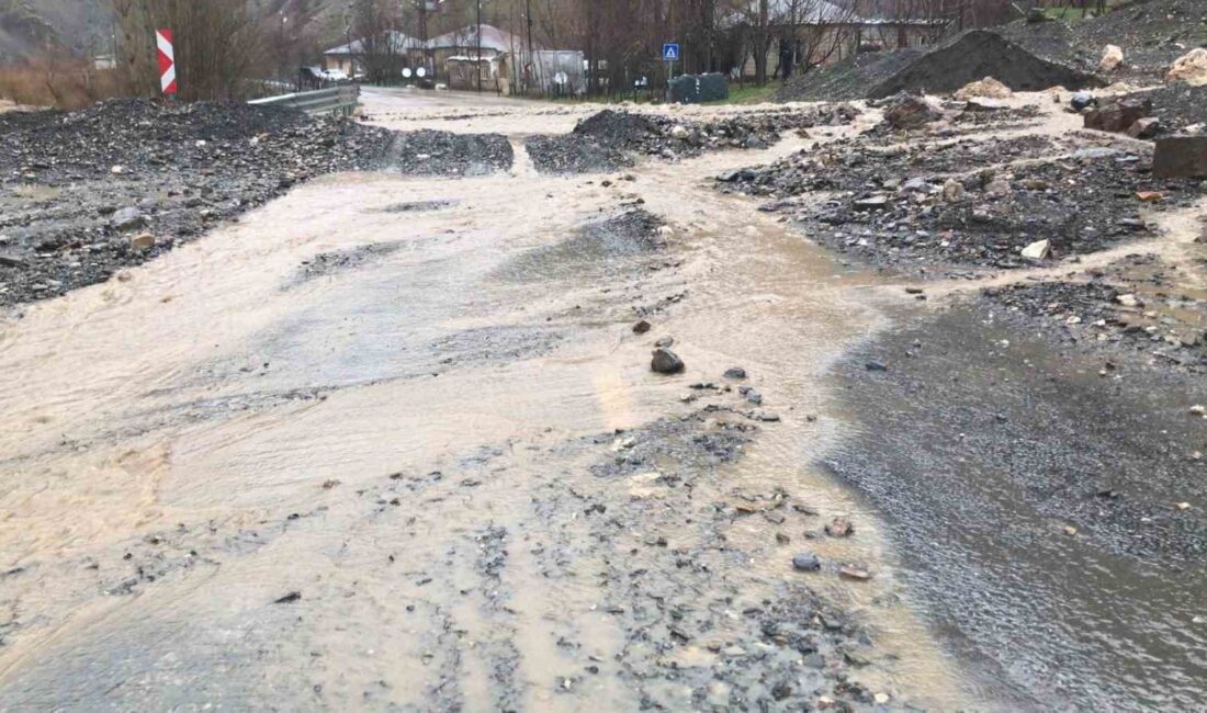 Hakkari-Şırnak kara yolunda çığ