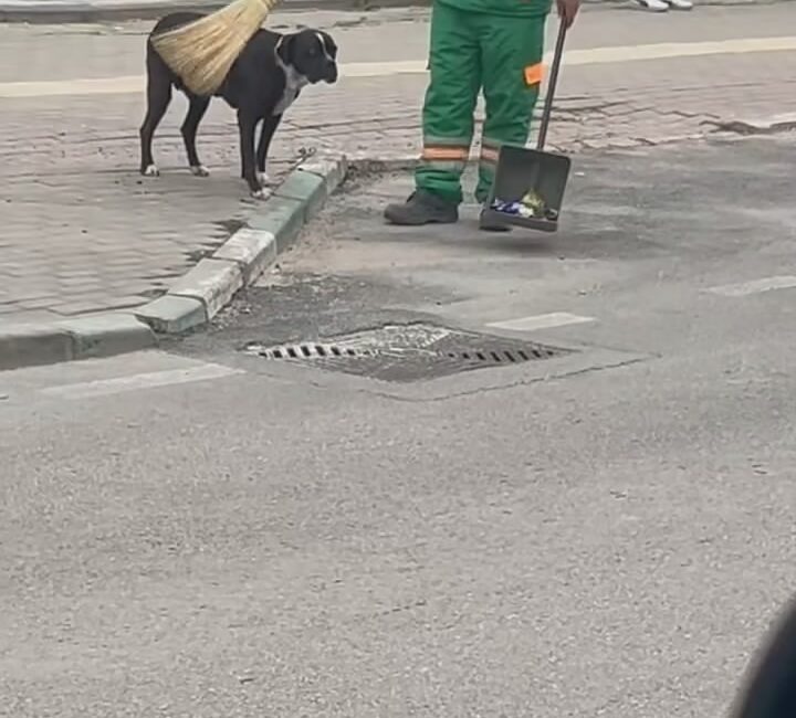 Bursa’da bir temizlik görevlisi,