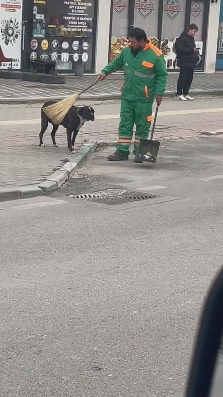 Yüzleri gülümseten görüntü