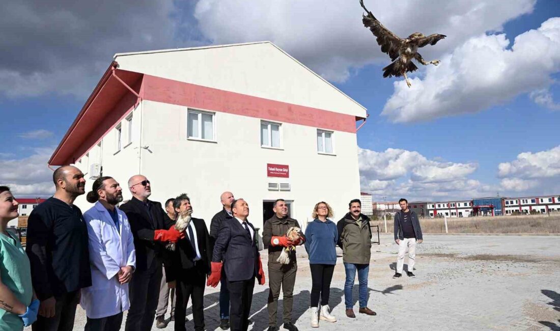 Afyon Kocatepe Üniversitesi Yaban