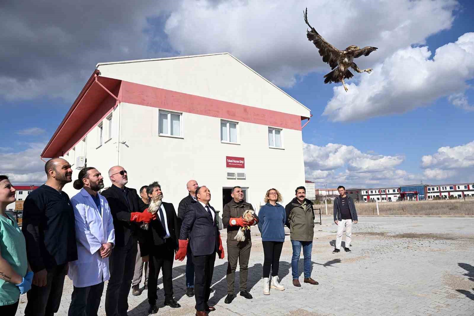 Özgürlüğe yeniden kanat çırptılar