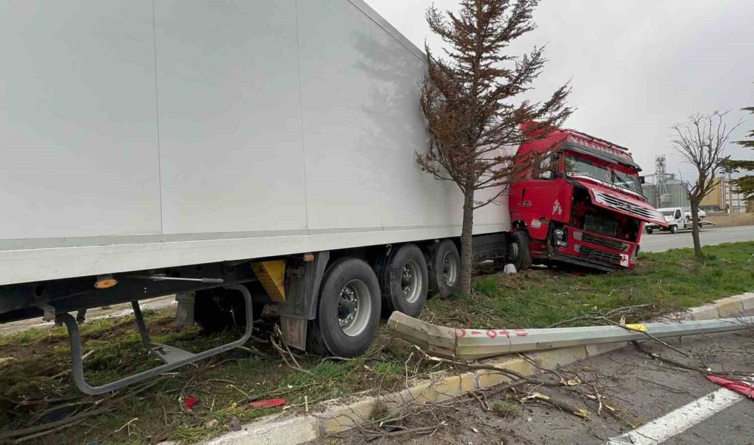 Afyonkarahisar’ın Bolvadin ilçesinde tırın