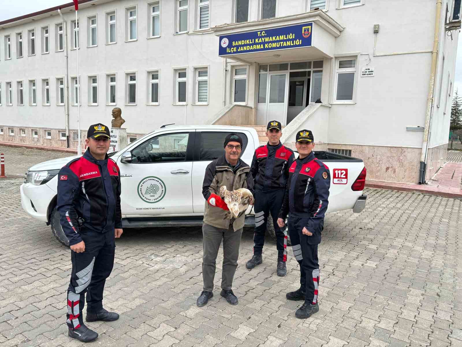 Yaralı kızıl şahine derman oldular!