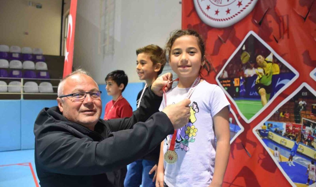 Afyonkarahisar’da, Türkiye Satranç Federasyonu