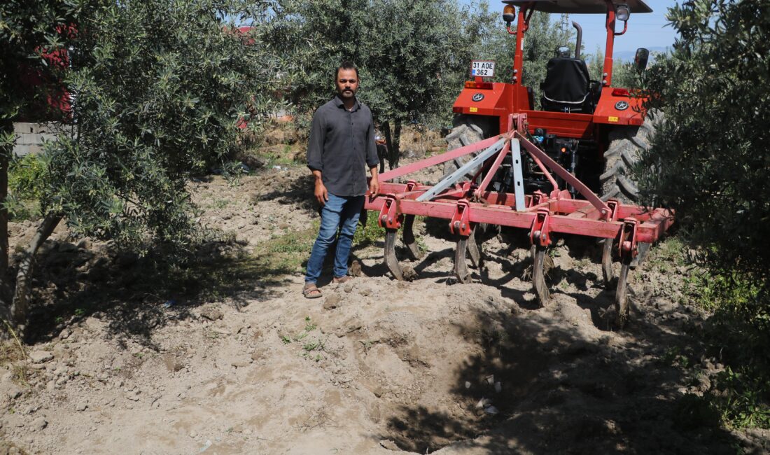 Hatay’da bir çiftçi, bahçesini